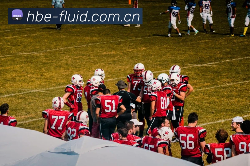 开云官网服务体系